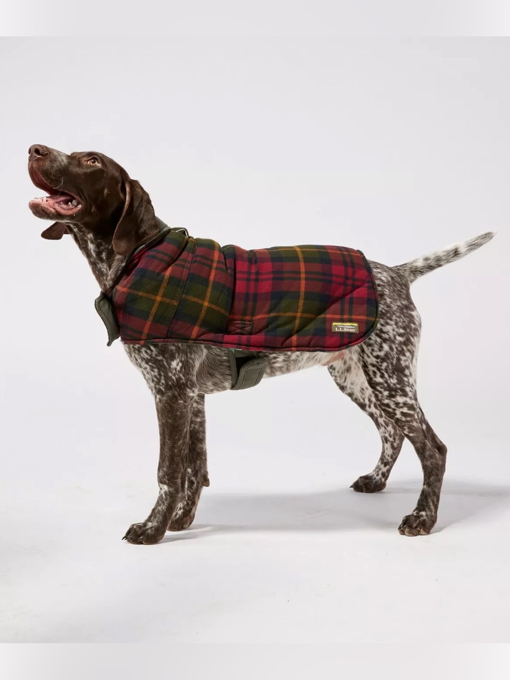 NEW L.L. Bean Reversible Field Coat for Dogs Olive Green Red Plaid - Small (S)